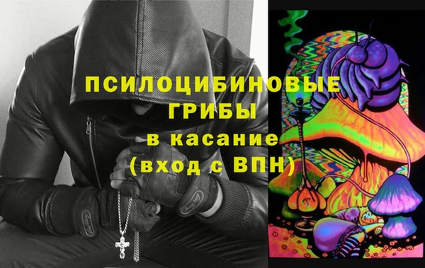 индика Верхнеуральск